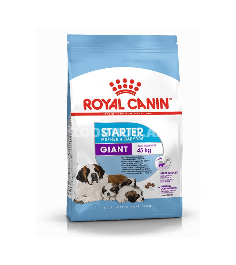 Royal Canin Giant Starter Mother & Babydog — hamilə və süd verən nəhəng cins itlər, həmçinin süd dövründən bərk qidaya keçid mərhələsində olan balalar üçün hazırlanmış xüsusi quru yemdir.