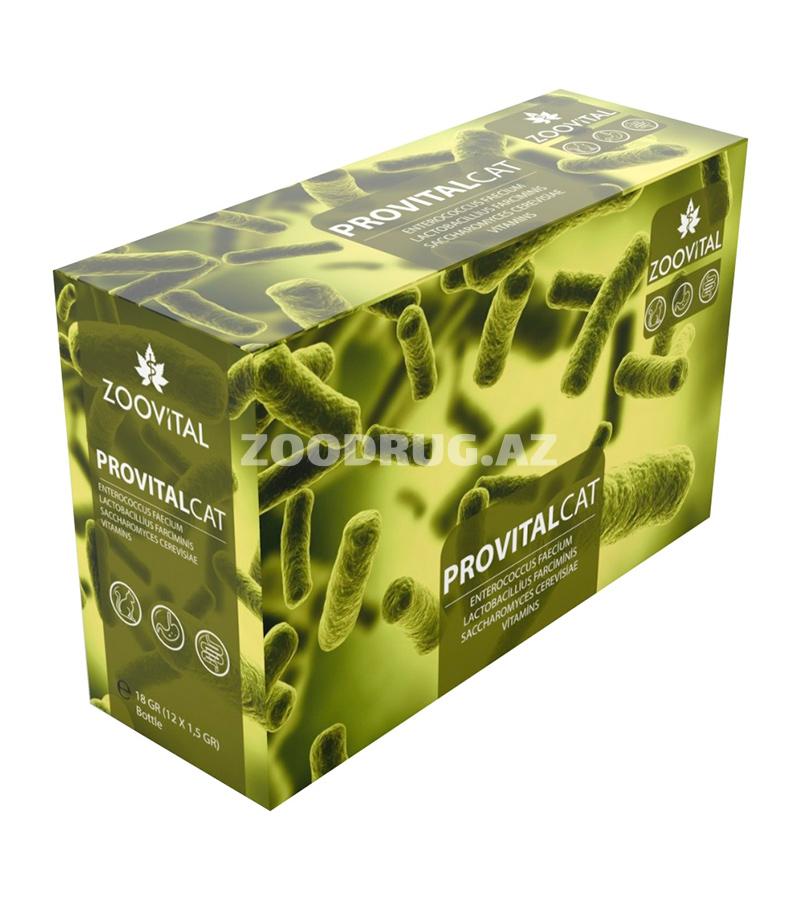 Кормавая добавка Zoovital Provital Cat для поддержания и защиты пищеварительной системы у кошек в капсулах.