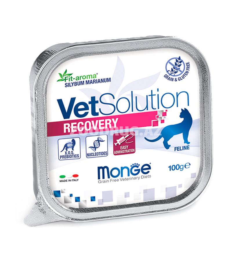 Влажный диетический корм Monge Vetsolution Recovery Adult Cat для взрослых кошек  для восстановления питания в период выздоровления 100 гр.