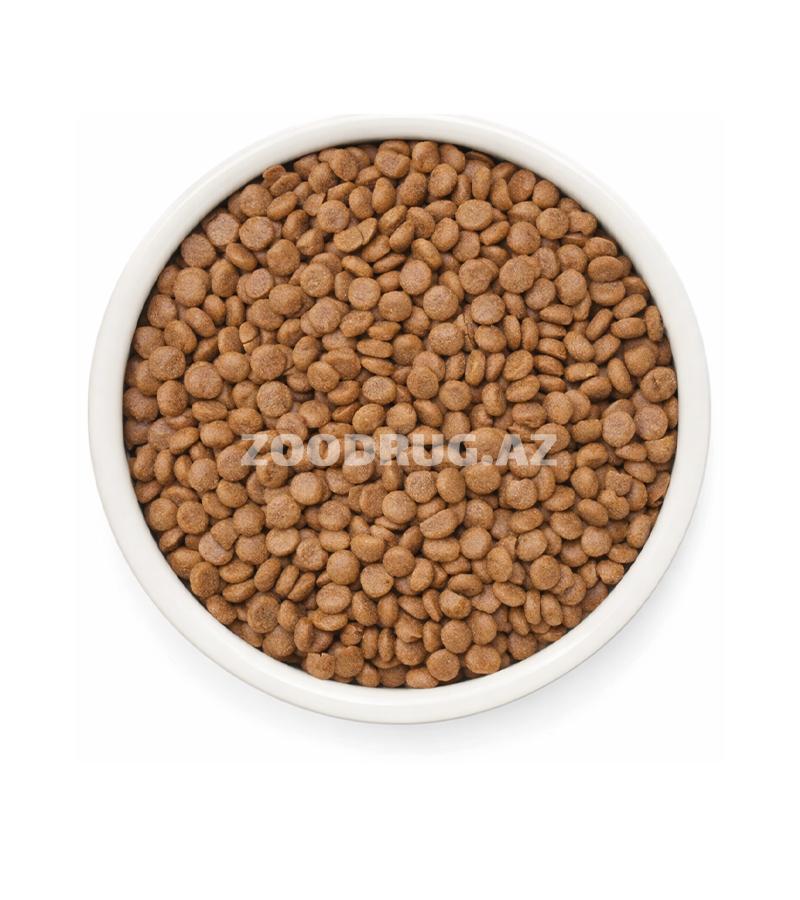 Сухой корм Grandorf Fresh Holistiс Hypoallergenic Adult Fresh Duck Гипоаллергенный холистик беззерновой для взрослых кошек с уткой.