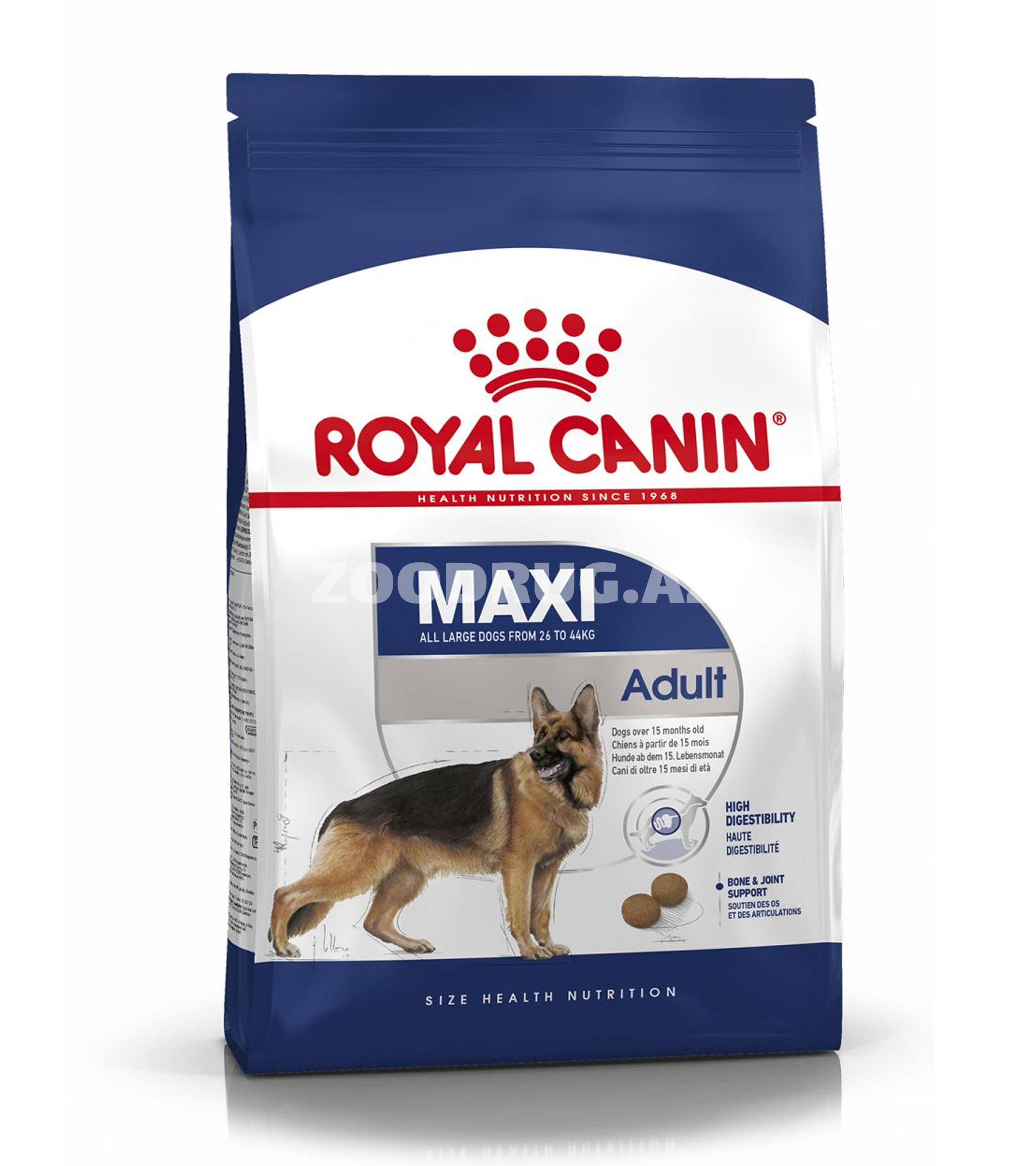 Royal Canin Maxi Adult (15 kq) — iri cins itlər üçün quru yem