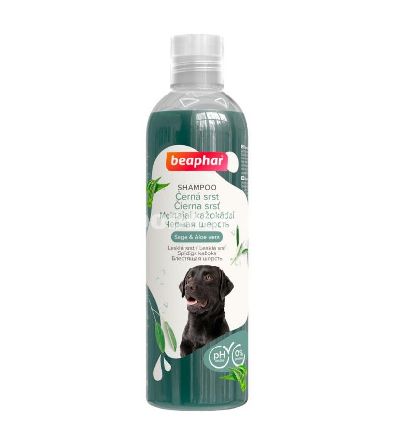 Qara tüklü itlər üçün şampun Beaphar Black Coat Sage & Aloe Vera.