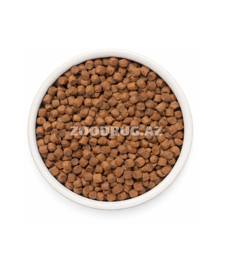 Grandorf Fresh Holistic Hypoallergenic Dog Adult Mini Fresh Duck xırda cins yetkin itlər üçün ördək dadlı, dənəsiz, holistik sinifli quru yemdir.