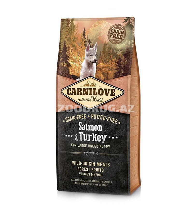 Carnilove Puppy Large Breed Salmon & Turkey – iri cins balalar üçün losos və hinduşka ətindən hazırlanmış tam rasionlu, taxılsız quru yem