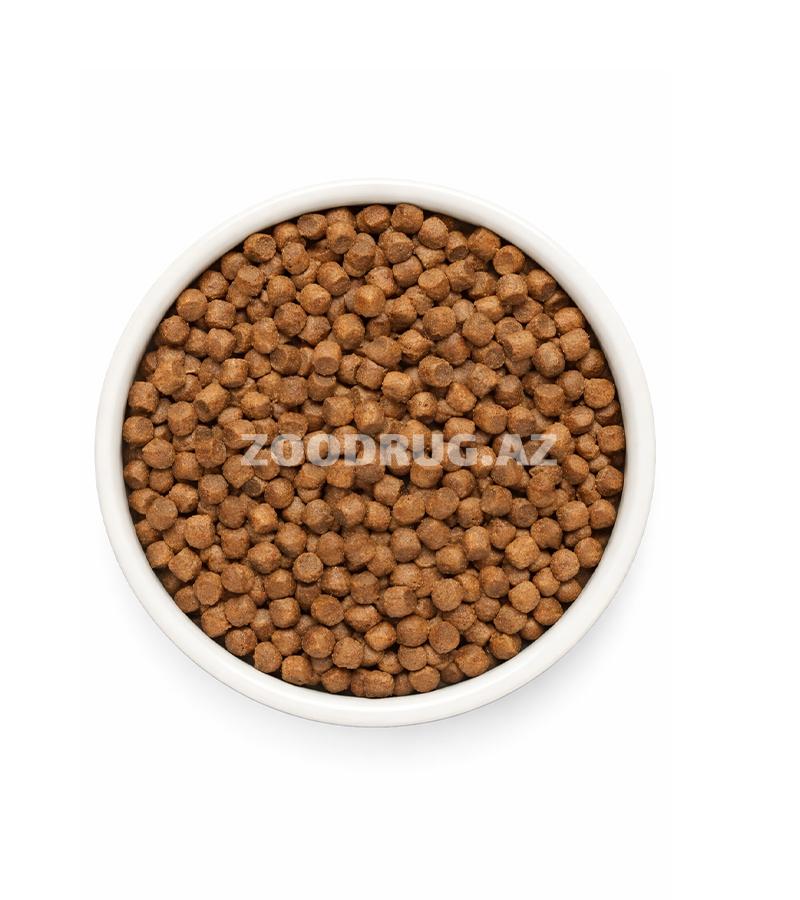 Grandorf Fresh Holistic Hypoallergenic Dog Adult Mini Fresh Salmon xırda cins yetkin itlər üçün losos dadlı, dənəsiz, holistik sinifli quru yemdir.