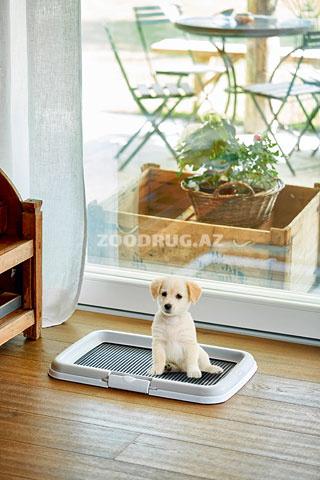 Balalar üçün dirəkli tualet Stefanplast PUPPY Training Set 40x60x4 sm